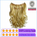 Highest Quality Human Hair Virgin Hair Brazilian Hair Clip Hair Extension Remy Grade Hair